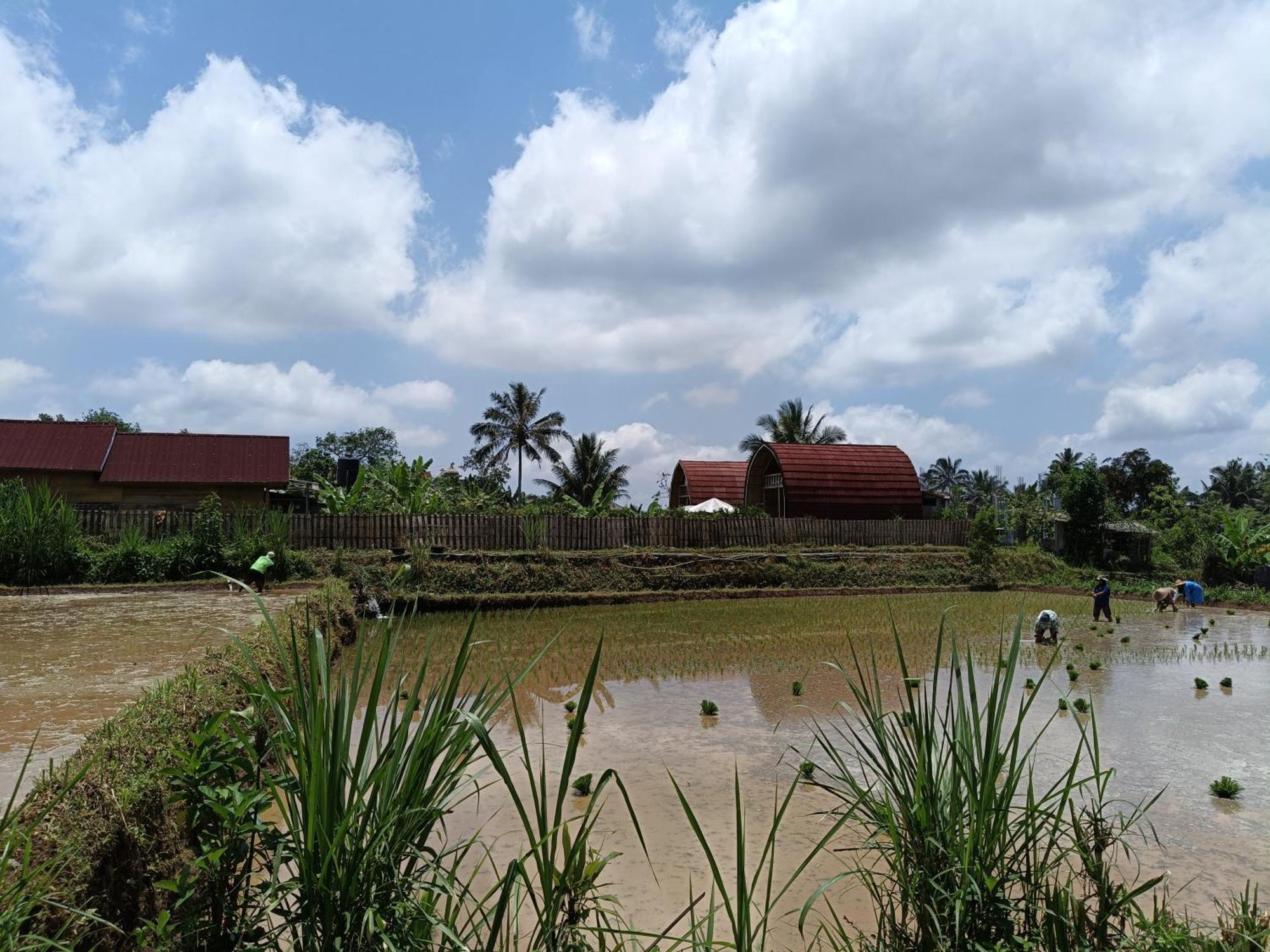 Raturinjani Homestay Selong 外观 照片