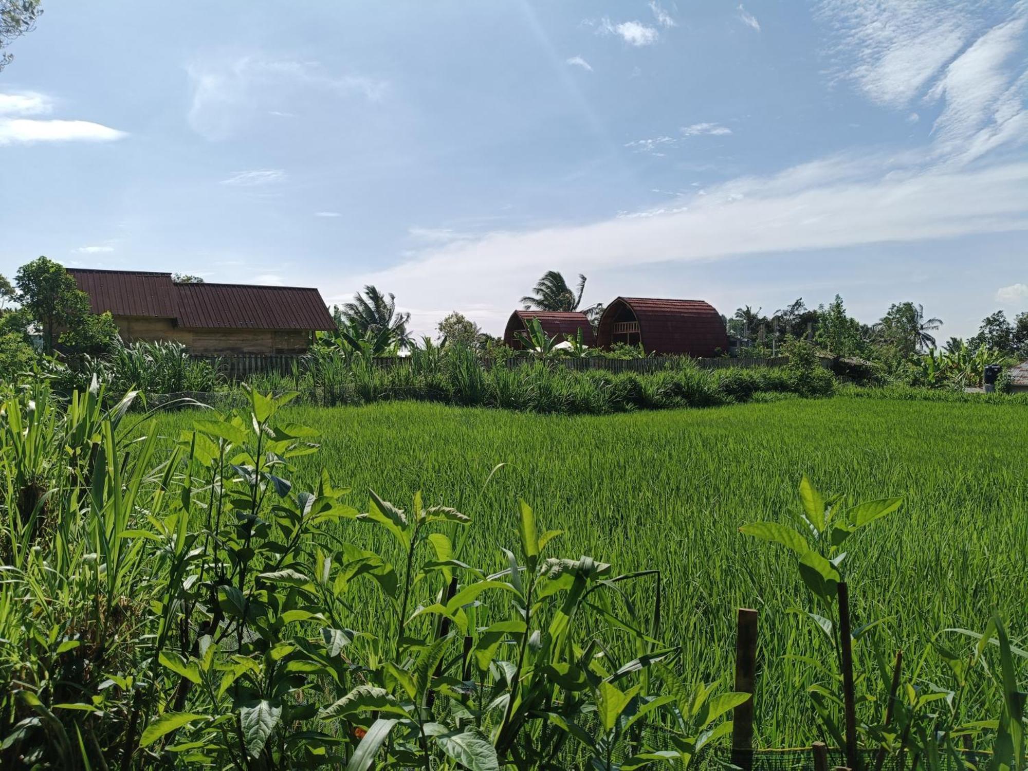 Raturinjani Homestay Selong 客房 照片