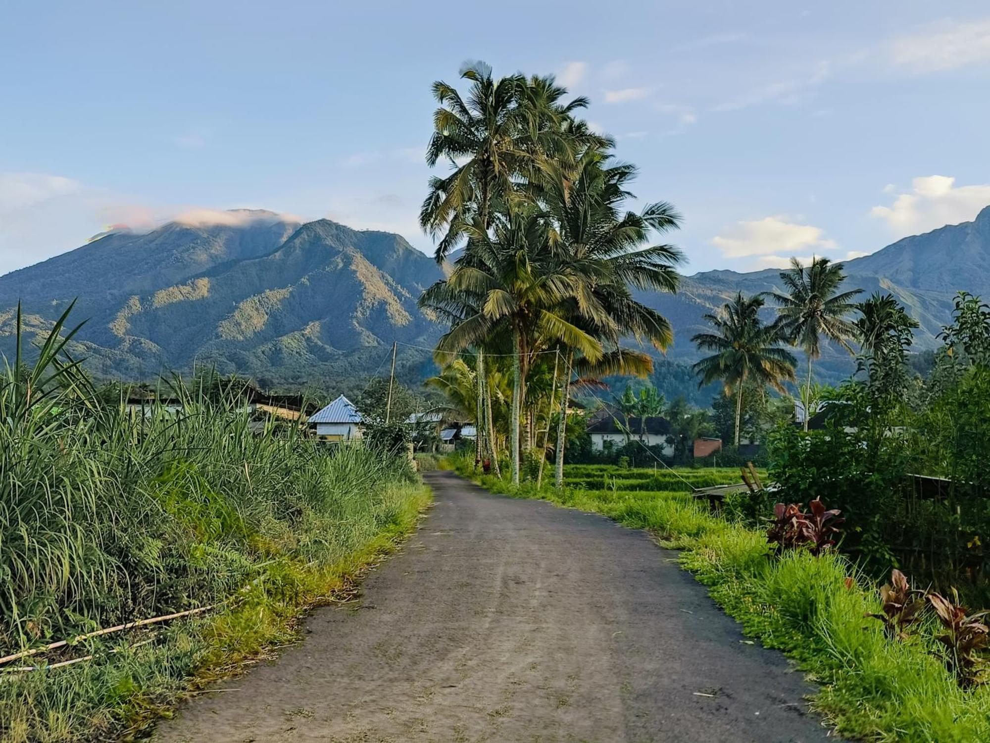 Raturinjani Homestay Selong 外观 照片