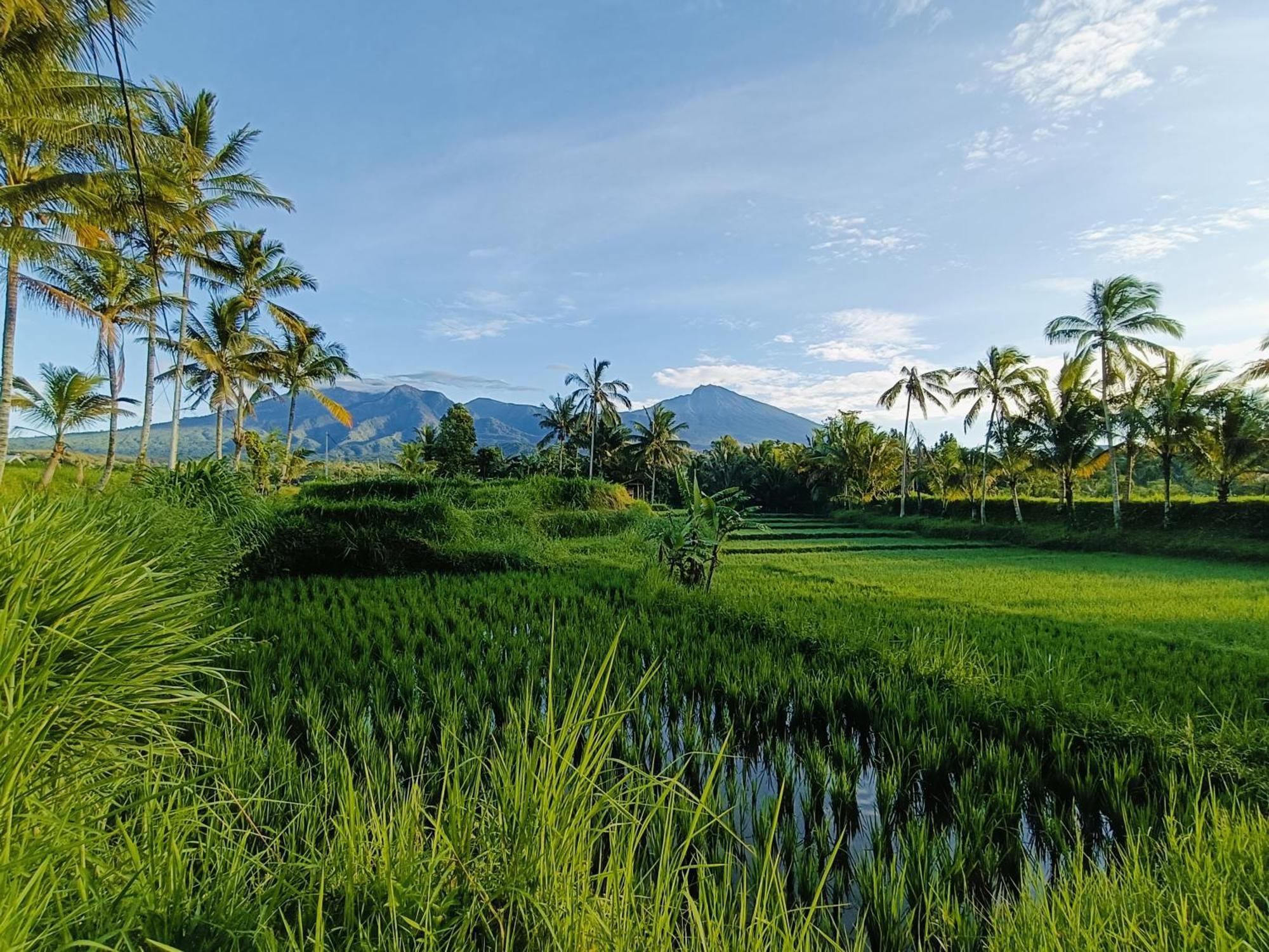 Raturinjani Homestay Selong 外观 照片